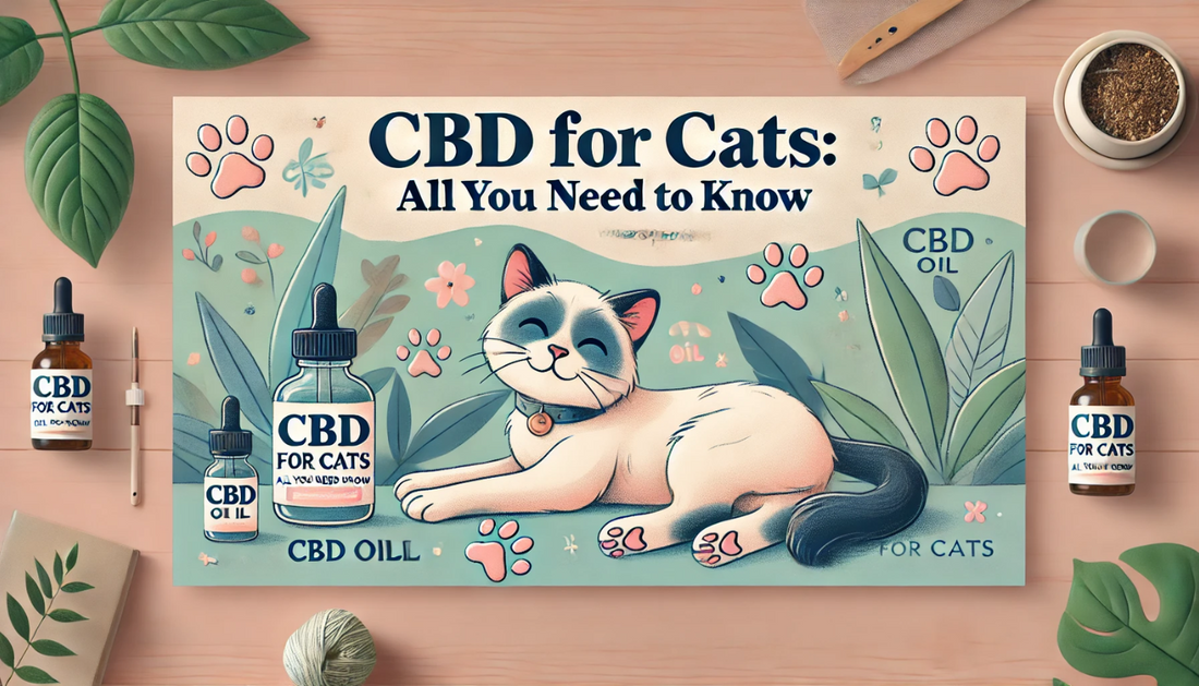 CBD For Cats: All You Need to Know