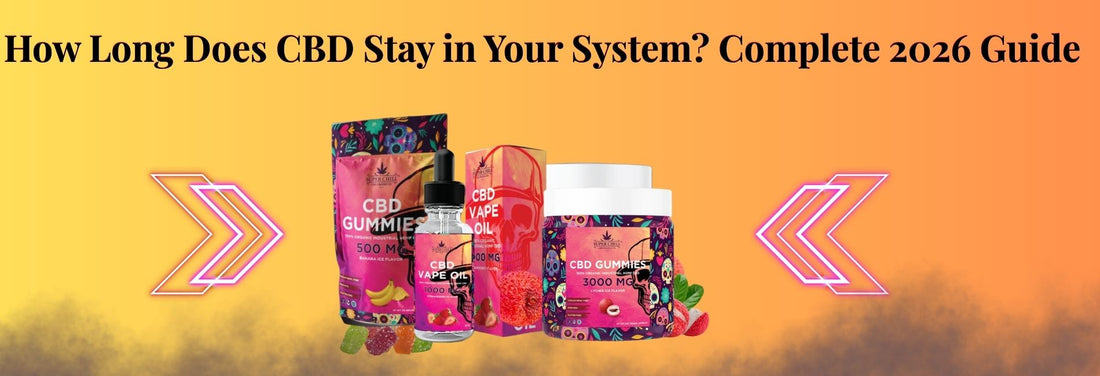 How Long Does CBD Stay in Your System? Complete 2026 Guide