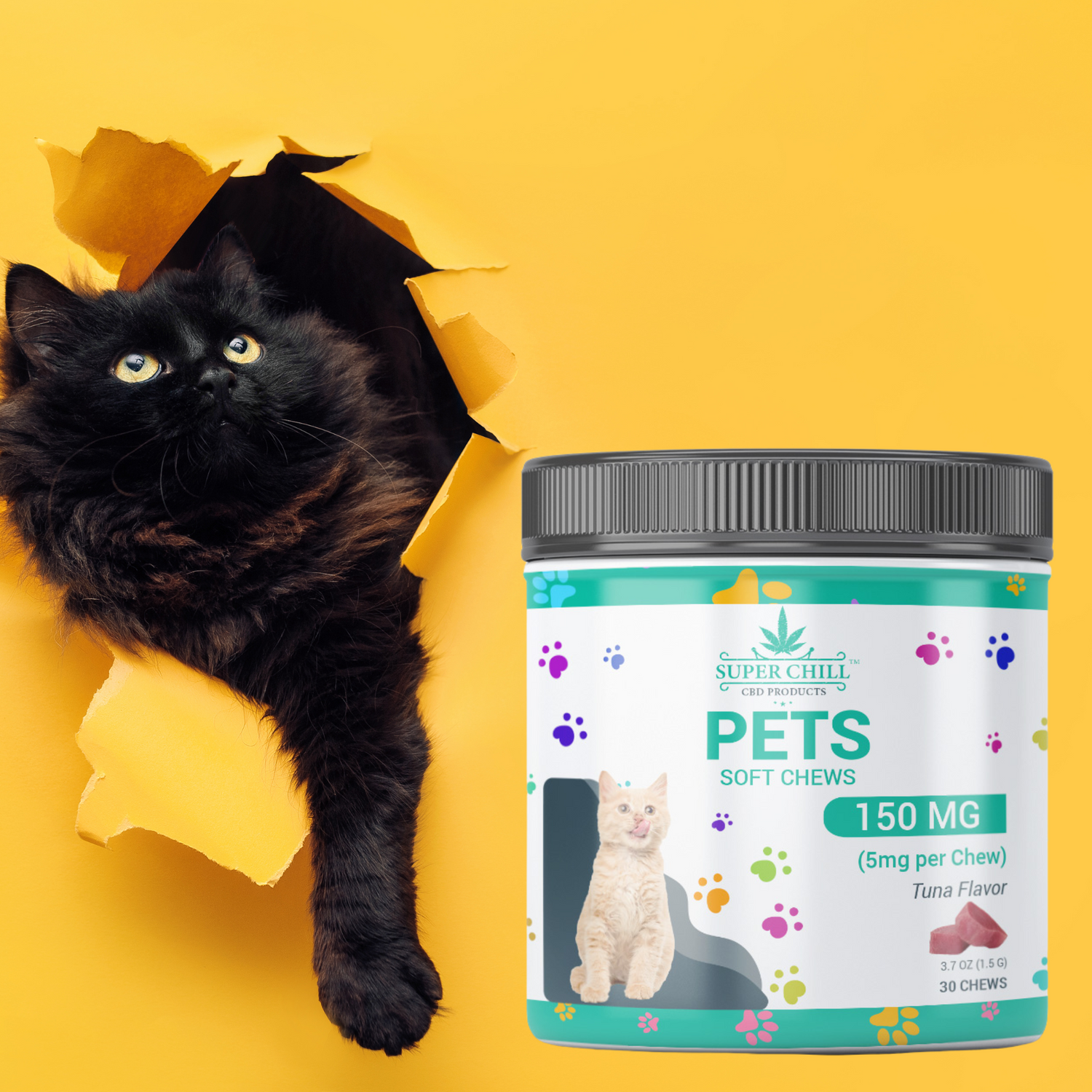 CBD for Cats