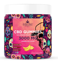 CBD Gummies 3000MG