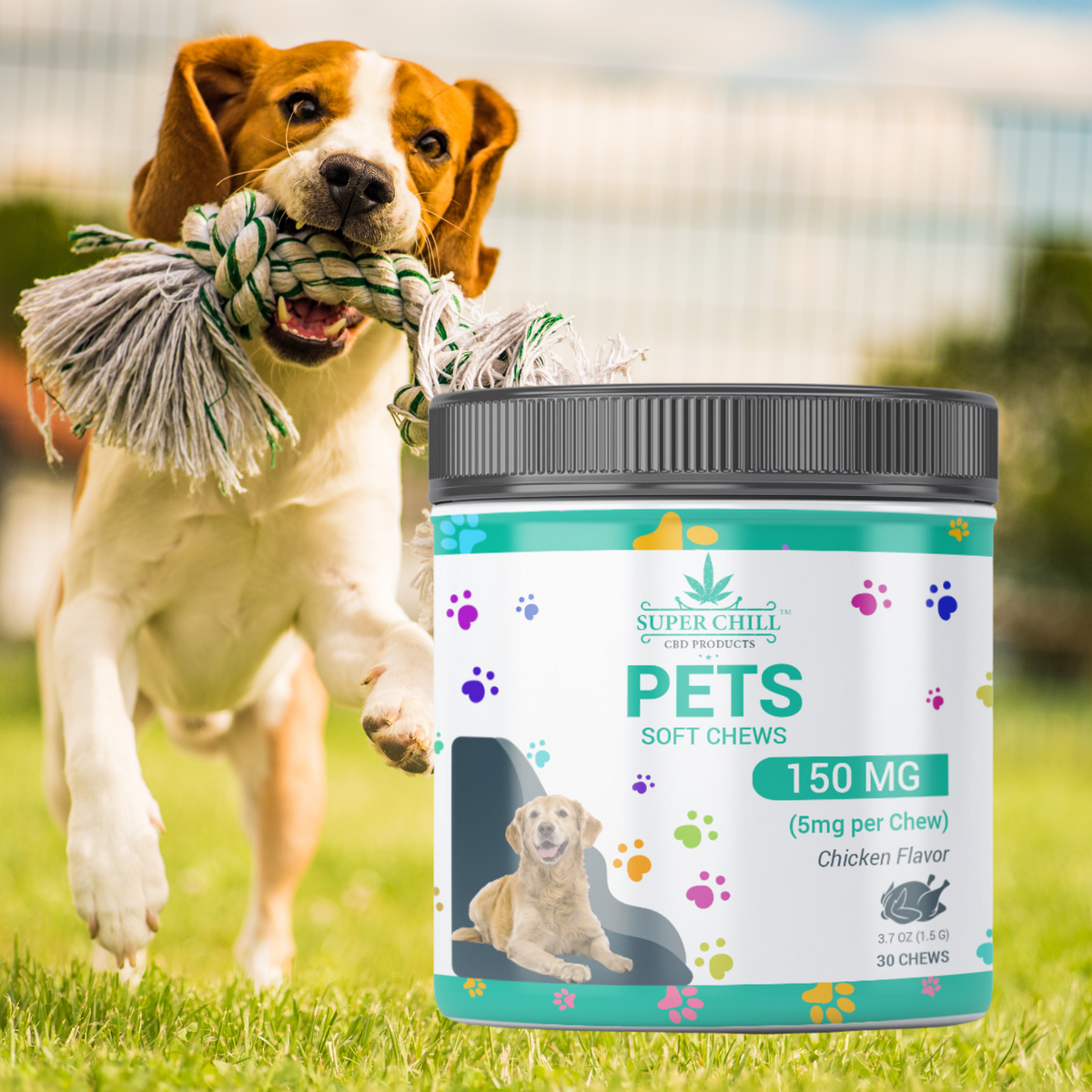 Calming Chew For Dogs 150mg - (Chicken Flavor)